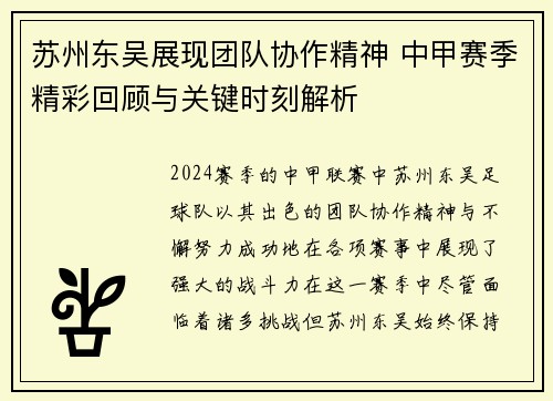 苏州东吴展现团队协作精神 中甲赛季精彩回顾与关键时刻解析 苏州东吴展现团队协作精神 中甲赛季精彩回顾与关键时刻解析