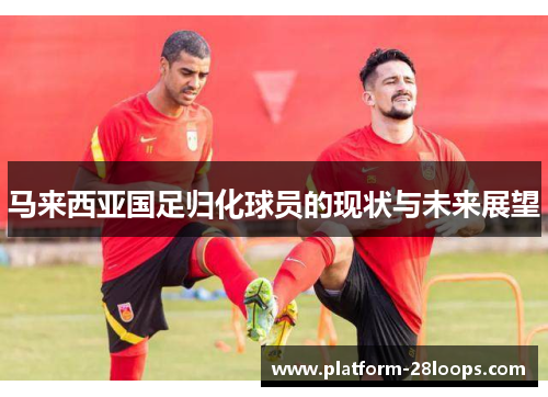 马来西亚国足归化球员的现状与未来展望 马来西亚国足归化球员的现状与未来展望