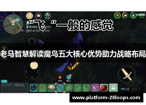 老马智慧解读魔鸟五大核心优势助力战略布局