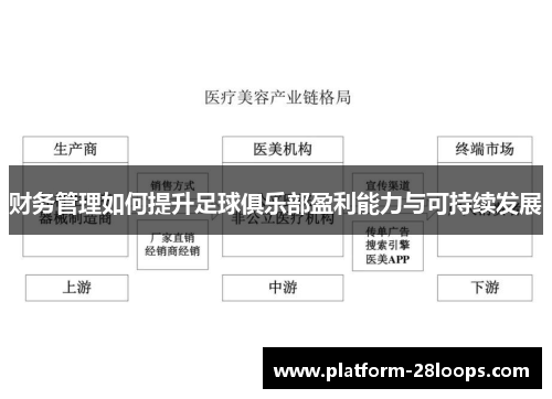 财务管理如何提升足球俱乐部盈利能力与可持续发展