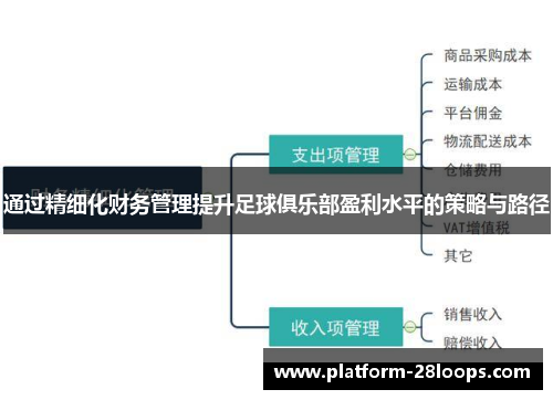 通过精细化财务管理提升足球俱乐部盈利水平的策略与路径